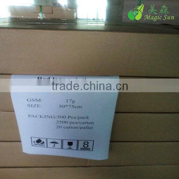 14gsm MG white tissue paper