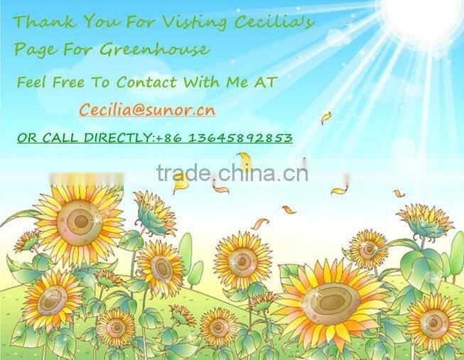 14*8 Do-it-Yourself Aluminum Walk-in Garden Greenhouse