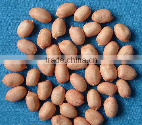 raw peanut kernel for sale