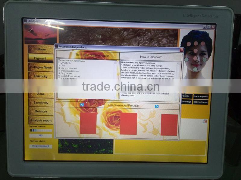 Professional English skin analysis software skin analyzer