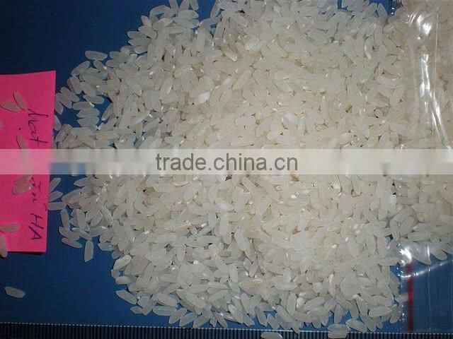 VIET NAM SHORT GRAIN WHITE RICE 5% BROKEN