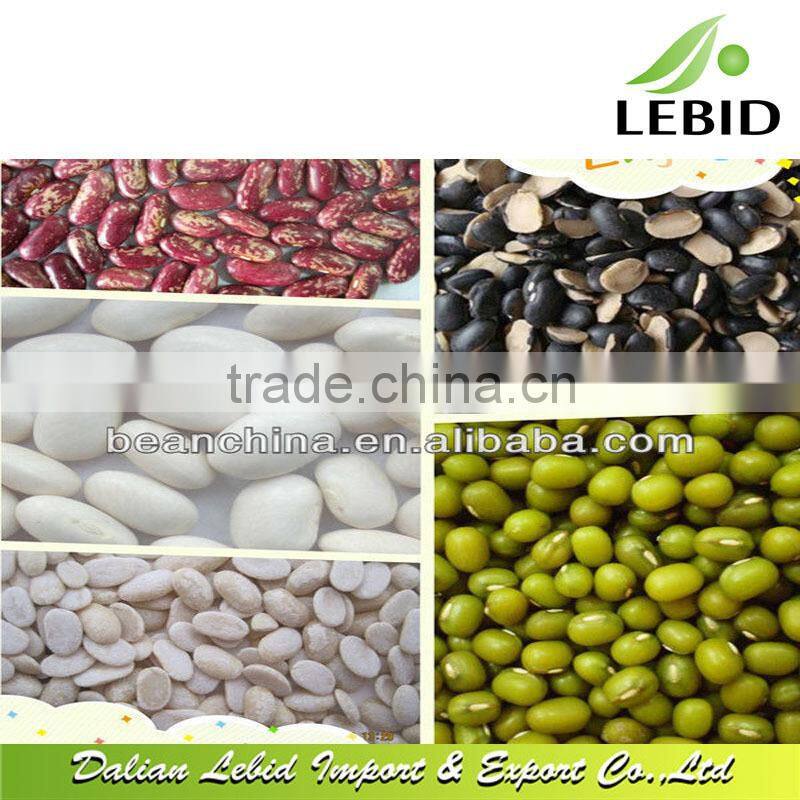 2016 new crop small round shape white navy beans