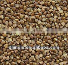 roasted buckwheat kernerl 2012 crop