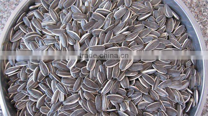 SUPPLY HIGH QUALITY CHINESE BAKERY GRADE SUNFLOWER SEEDS (24/64 280pcs-320pcs/50g)