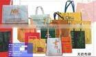 Eco-Friendly PP Woven Shopping Bags