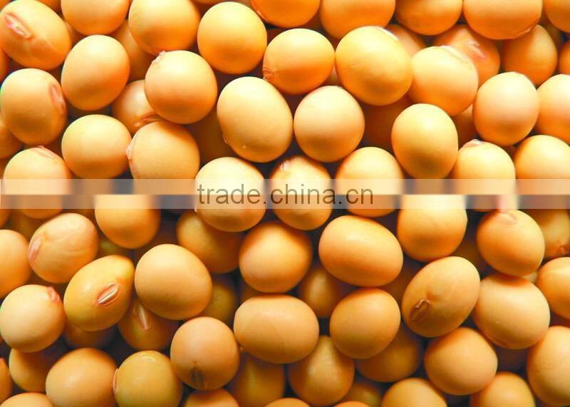 soyabean meal export from china