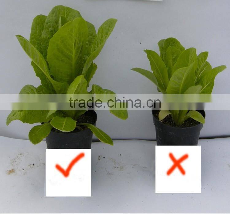 Customize Water Soluble Sodium Humate Powder feed and fertilizer