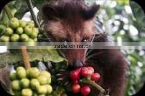 coffee roasting machines