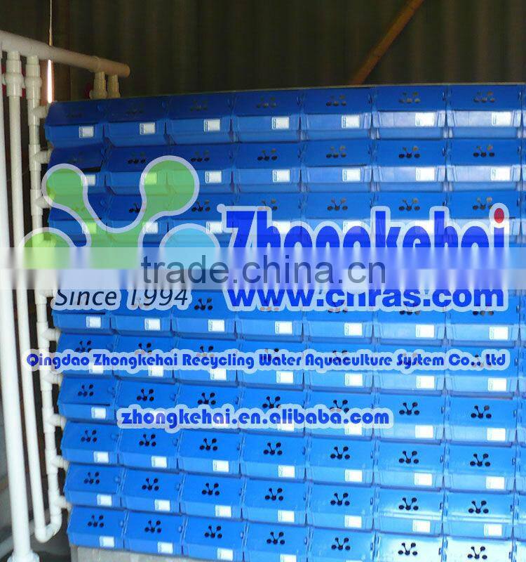 zhongkehai3-D indoor recirculating aquaculture mud crab breed