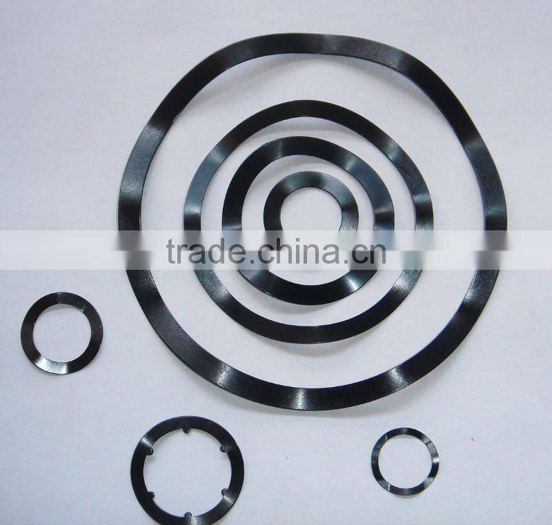 gasket spring