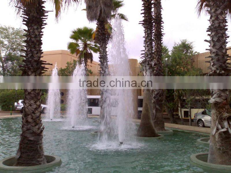 Adjustable Serac nozzle DN50 for colorful music fountain