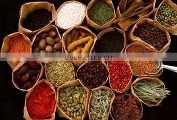 New Design ZNS3-500-5000 Model the Newest Internal-heating Three Effect Energy Saving Evaporator for Liquid