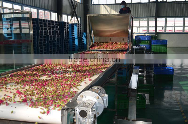 Multiple layer continuous type mesh belt dryer for rosebud
