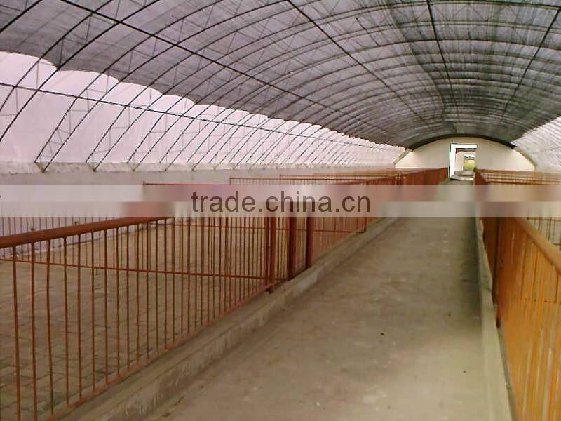 250mm PE Film Covered Single-Span Greenhouse For Cow/Pig Growing