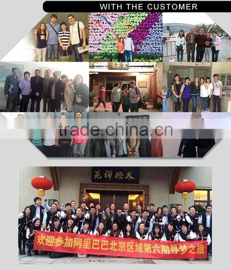 Metal Fence Post Caps/Chain Link Fence Caps (Factory!! ISO9001 & CE)