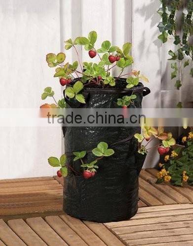 Strawberry Grow Bags,Pop-Up Strawberry Planters with 8 plant holes, Planter Buckets Strawberry breeding