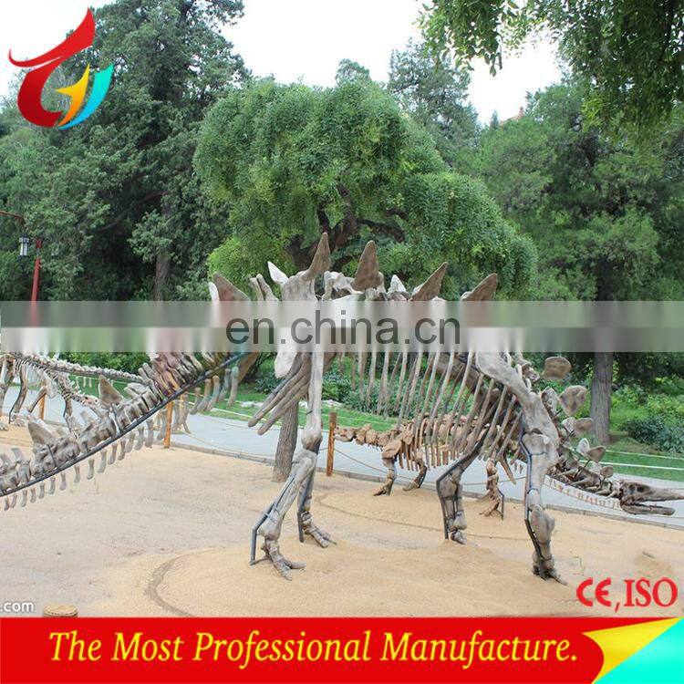Life size dinosaur skeleton model for sale