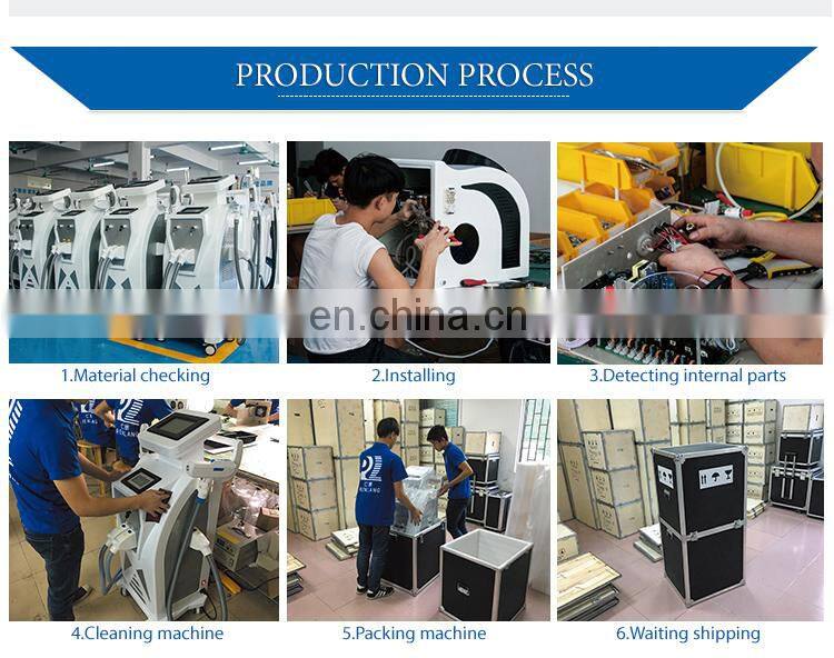 Renlang Top Seller Fat Reduction Device Fat Freeze Portable Slimming Machine