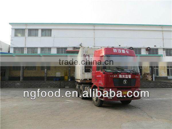 frozen squid tubes (LQF squid)fresh