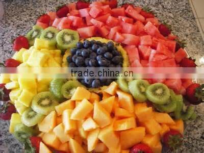 2015 mini fruits and vegetables dehydration machine