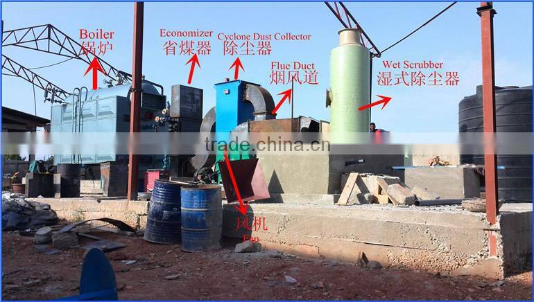 Hot Sale Chain Grate Biomass Fired Steam Boiler