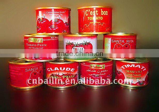 dark red and bright red 800gm tomato paste