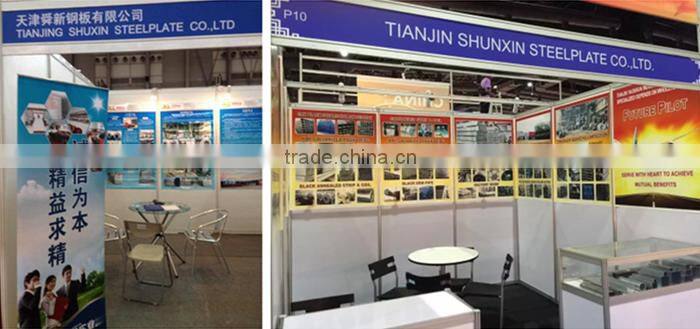 Galvanized steel pipe price per ton / Asian tube made in China