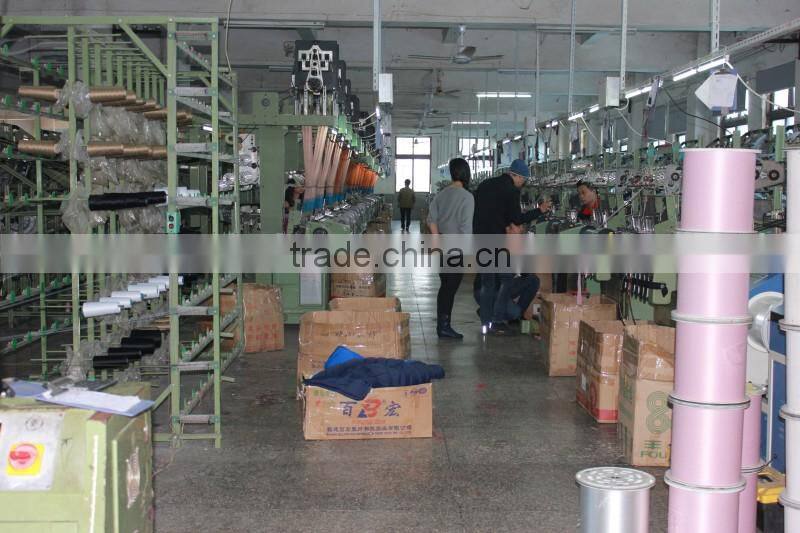 Poleyster Seat Belt Webbing,Polyester Webbing,Chair Polyester Webbing