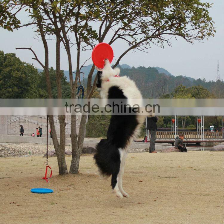 PSuper toughness plastic PE frisbee 9 inch 10.5' 10' 8' 23cm