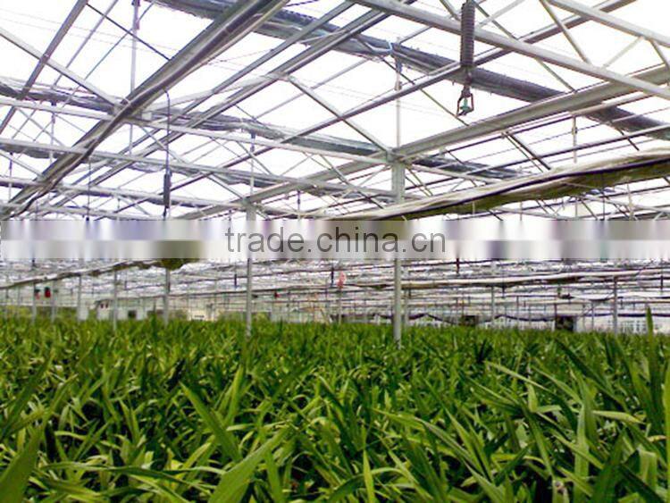 Sp-I-S-H Hanging Type Sprinkling Irrigation for Horticultural Greenhouse