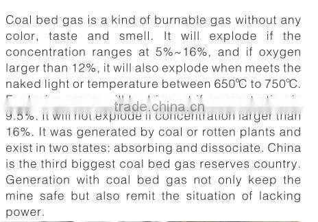 coal gasifier generating electricity 300kw gas genset