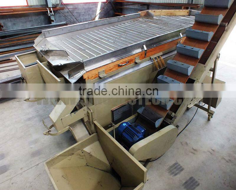 Grain seed gravity separator selector