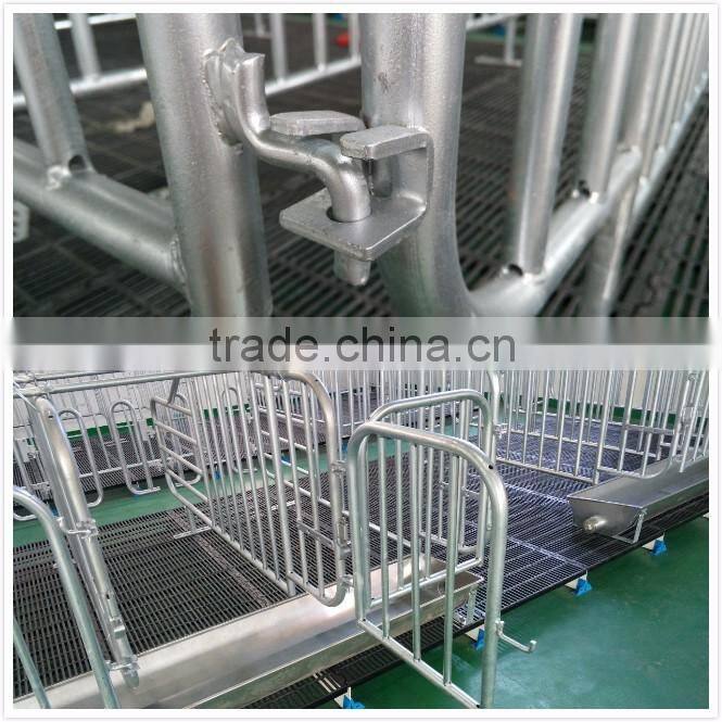 Poultry farming equipment for pig