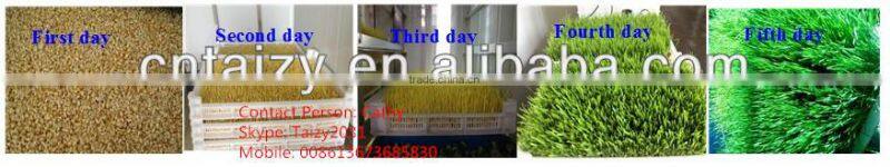 Little investment big profit bean sprout making machine for sale