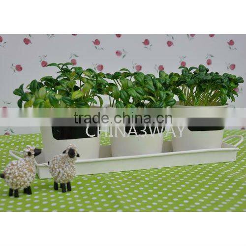 garden flower marker