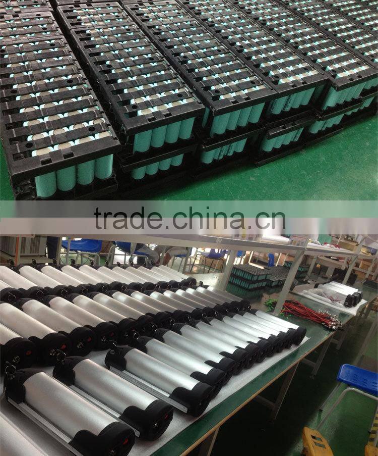 Deep Cycle Green EVS Electric Bike Battery 36V 24Ah with Samsung Cell , 36V 800W Electric Bike Battery