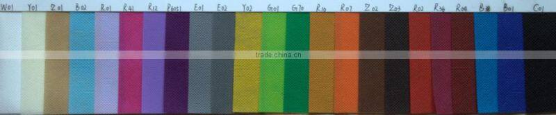 OEM PP Nonwoven Bag with printing for Shopping