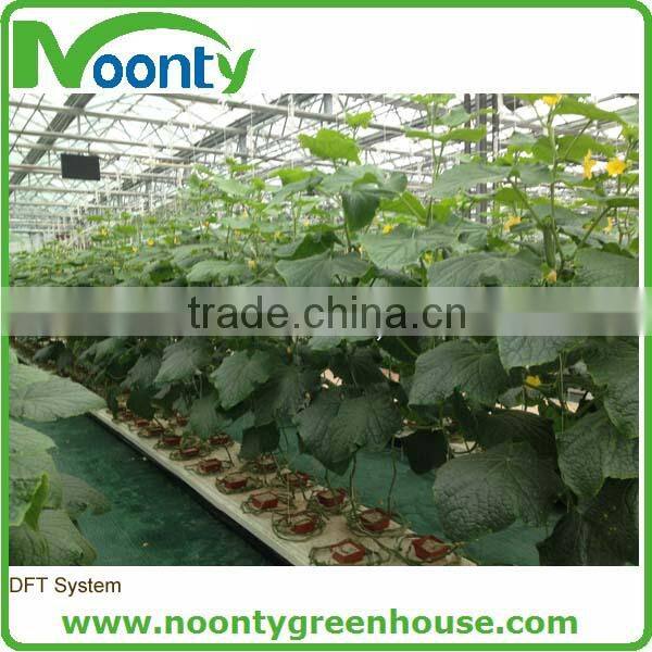Hydroponics Greenhouse