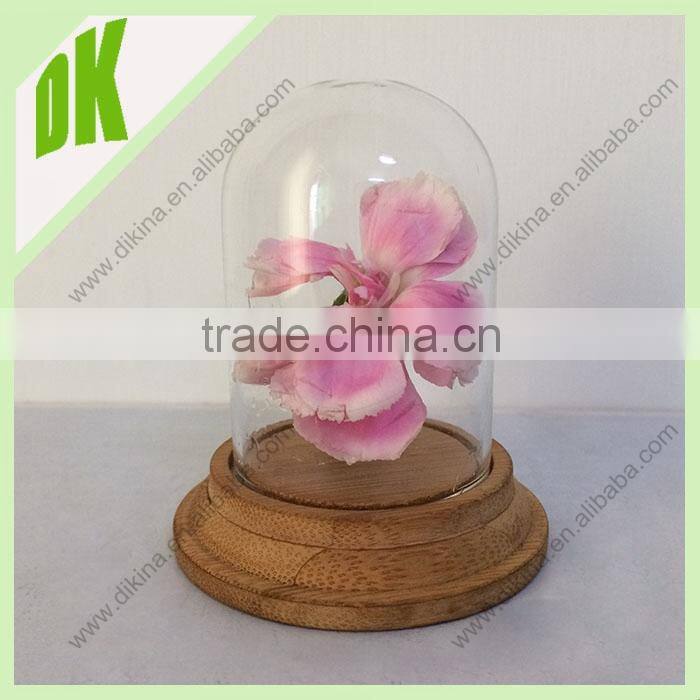 Size : 6*10 cm, 6*12cm, 8*12 cm etc (DIKINA- GD001) NEW Decorative Glass Dome, glass dome with base // Display Glass Dome cover