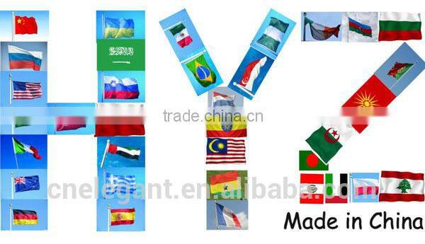 HYZ-80 Top rc bait boat made in China