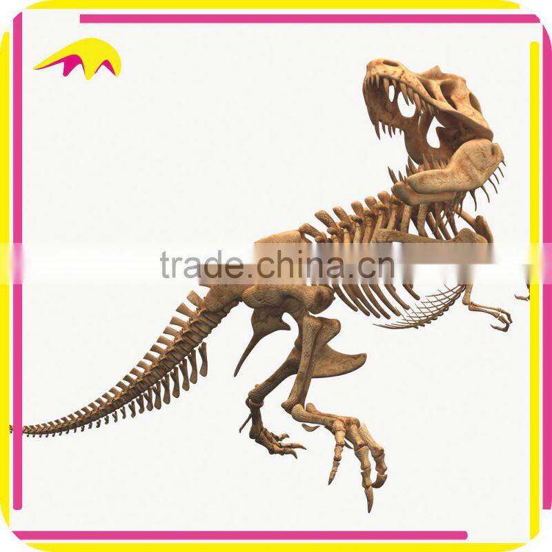 KANO2196 Museum Standard Artificial Life size Animal Skeleton