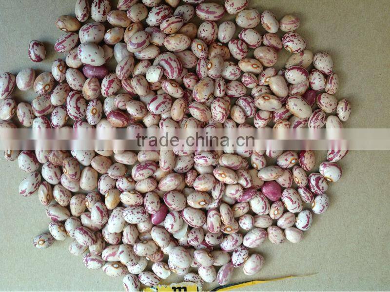 chinese Beans 2014 new crop;
