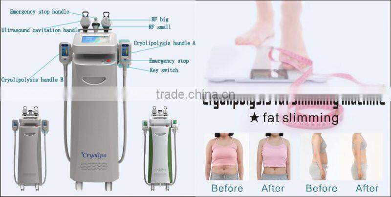 2016 Newest cryolipolysis vacuum slimming beauty machine for beauty spa with factory price
