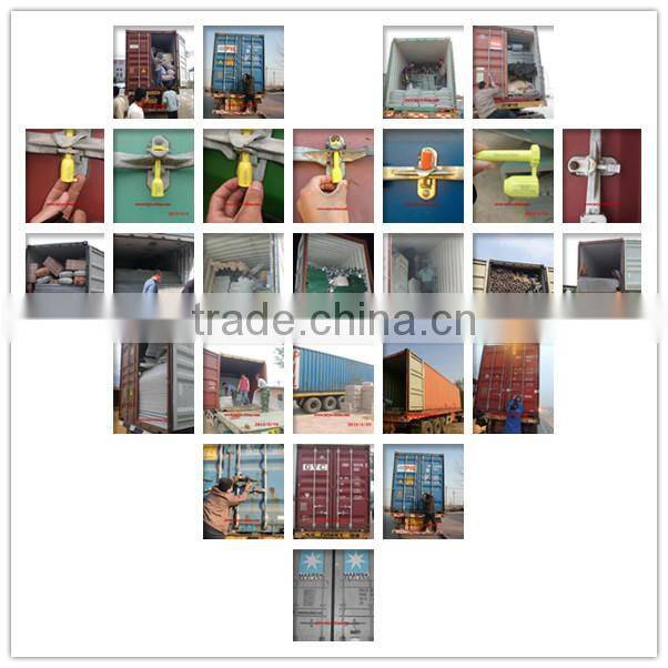 Automtic egg collection system