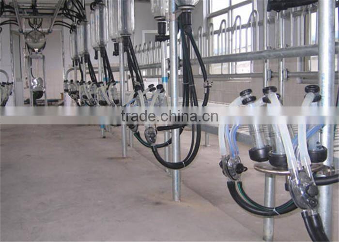 Farm Milking Parlour Plant for Goats and Sheep