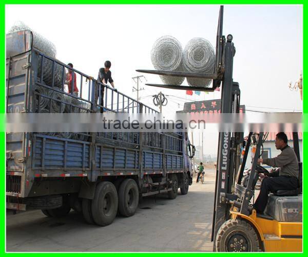 Galvanized& PVC coated& Galfan Hexagonal wire mesh