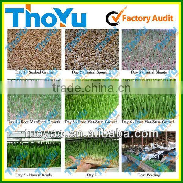 THOYU Brand Salable Germination Chamber with Best Price(Mob:+86-15903675071)