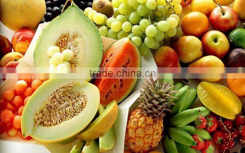 Y-8 hydraulic pressure Juice and Milk extractor