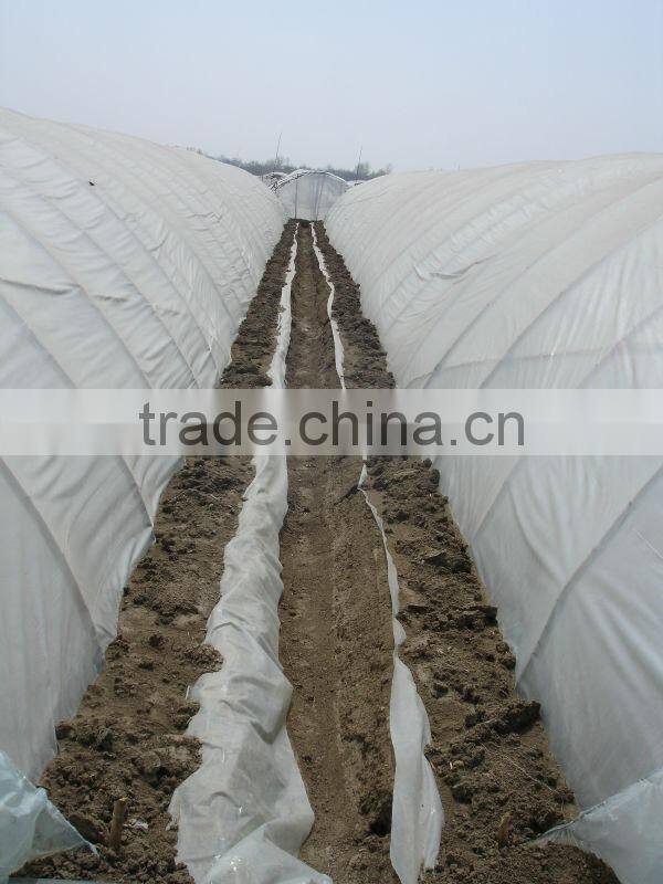 UV protect anti fog Transparent Co extruded PE Cover Film PE mulch film for watermelon greenhouse