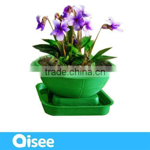 automatical water supplying indoor plants growing kits green globe